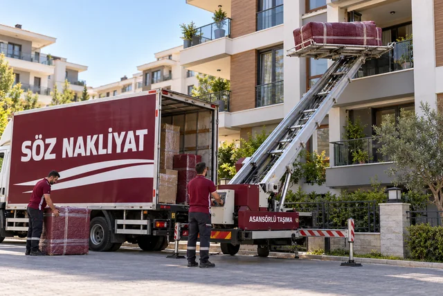 Asansörlü Taşımacılık — temsili taşıma görseli